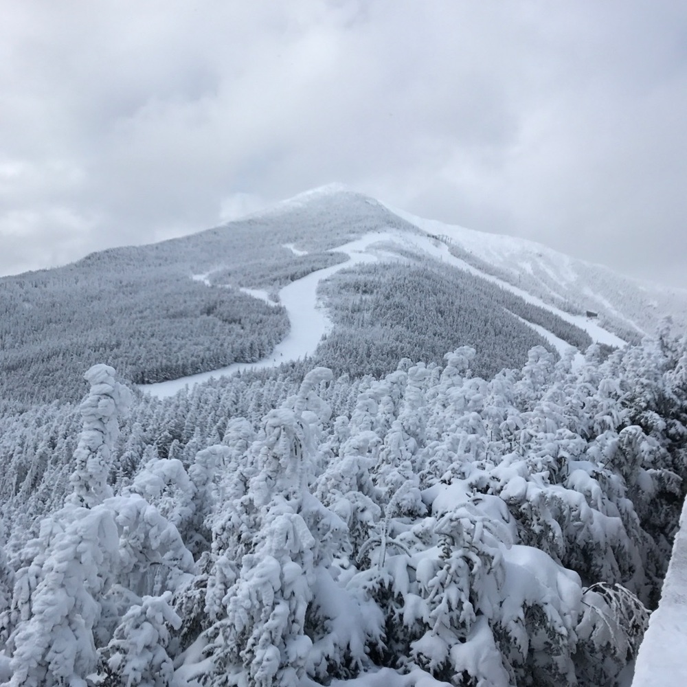 Meet your Posher, Jake